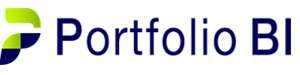 Portfolio BI Small Image
